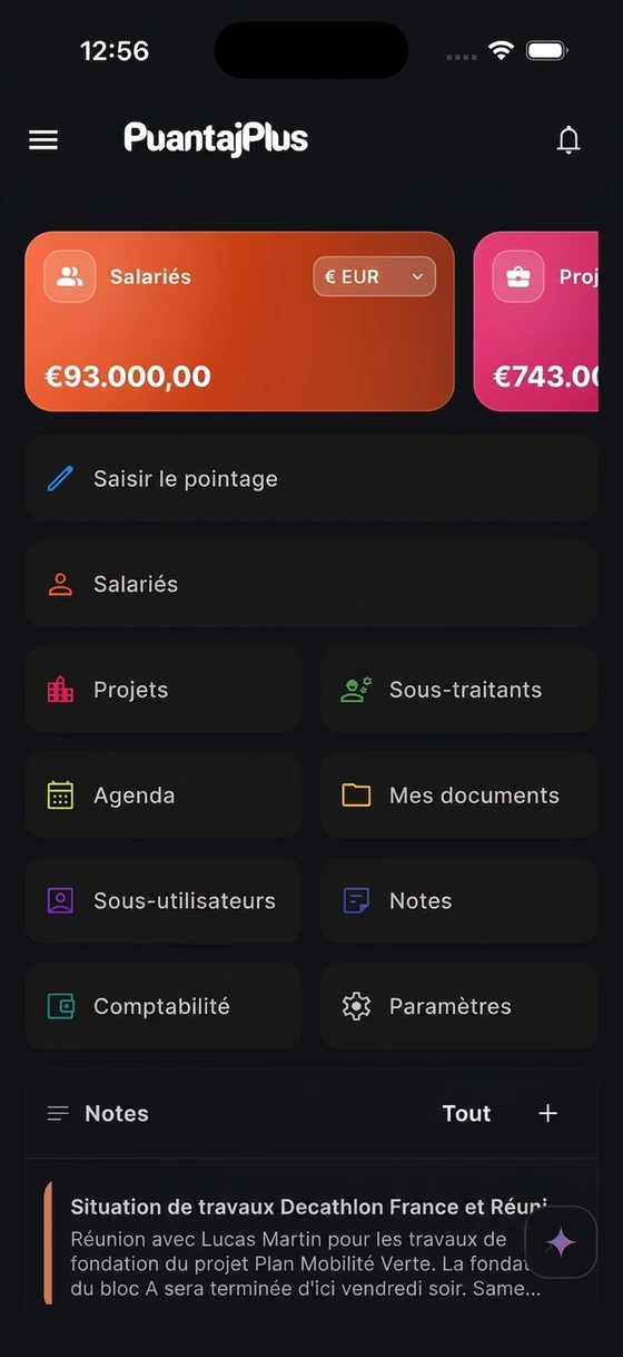 Application mobile PuantajPlus — Résumé de l'entreprise